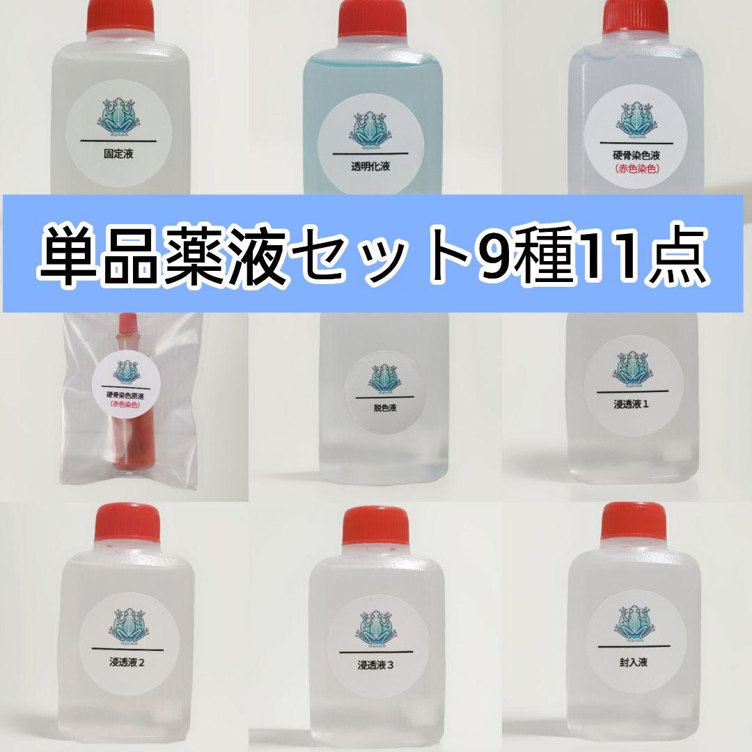 【透明標本作製キット】(上級) 薬液のみ 全9種類 11点 各100ml