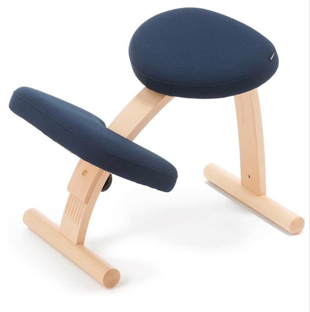 バランスイージーチェア ネイビー　同色カバー付き