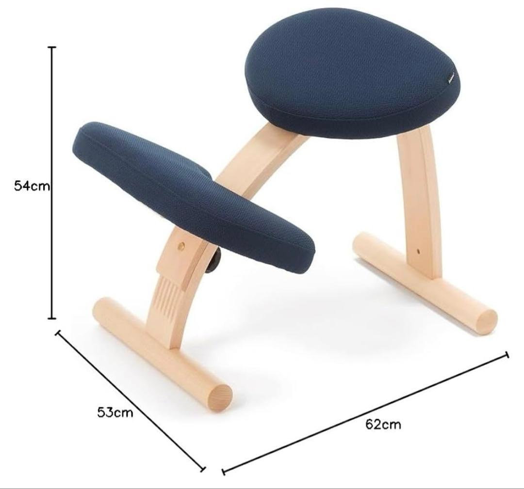 バランスイージーチェア ネイビー　同色カバー付き