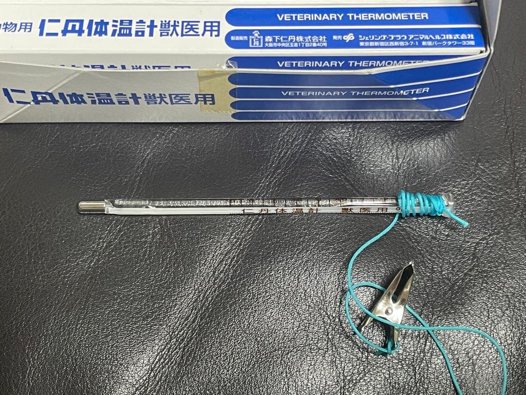 仁丹　獣医用体温計 デッドストック5本