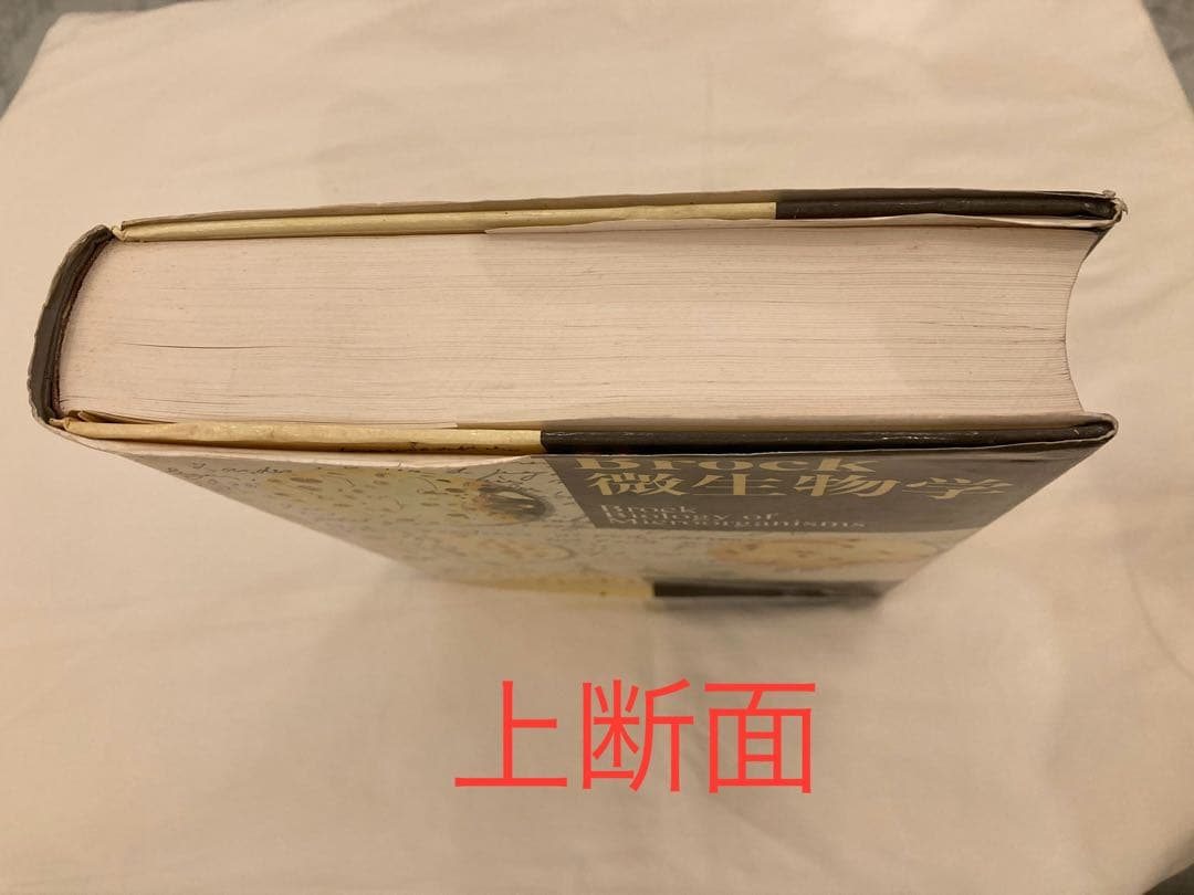 Brock 微生物学　初版　本　室伏きみ子　関啓子　オーム社　生物　科学