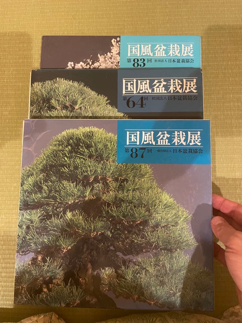 国風盆栽展 83, 64, 87 セット