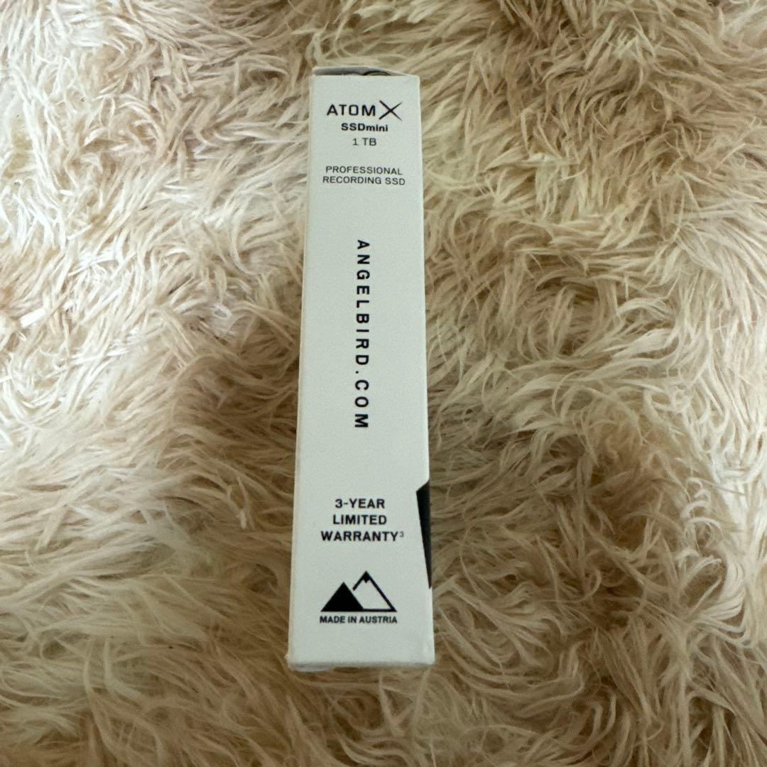 【新品保証有】AtomX SSDmini 1 TB