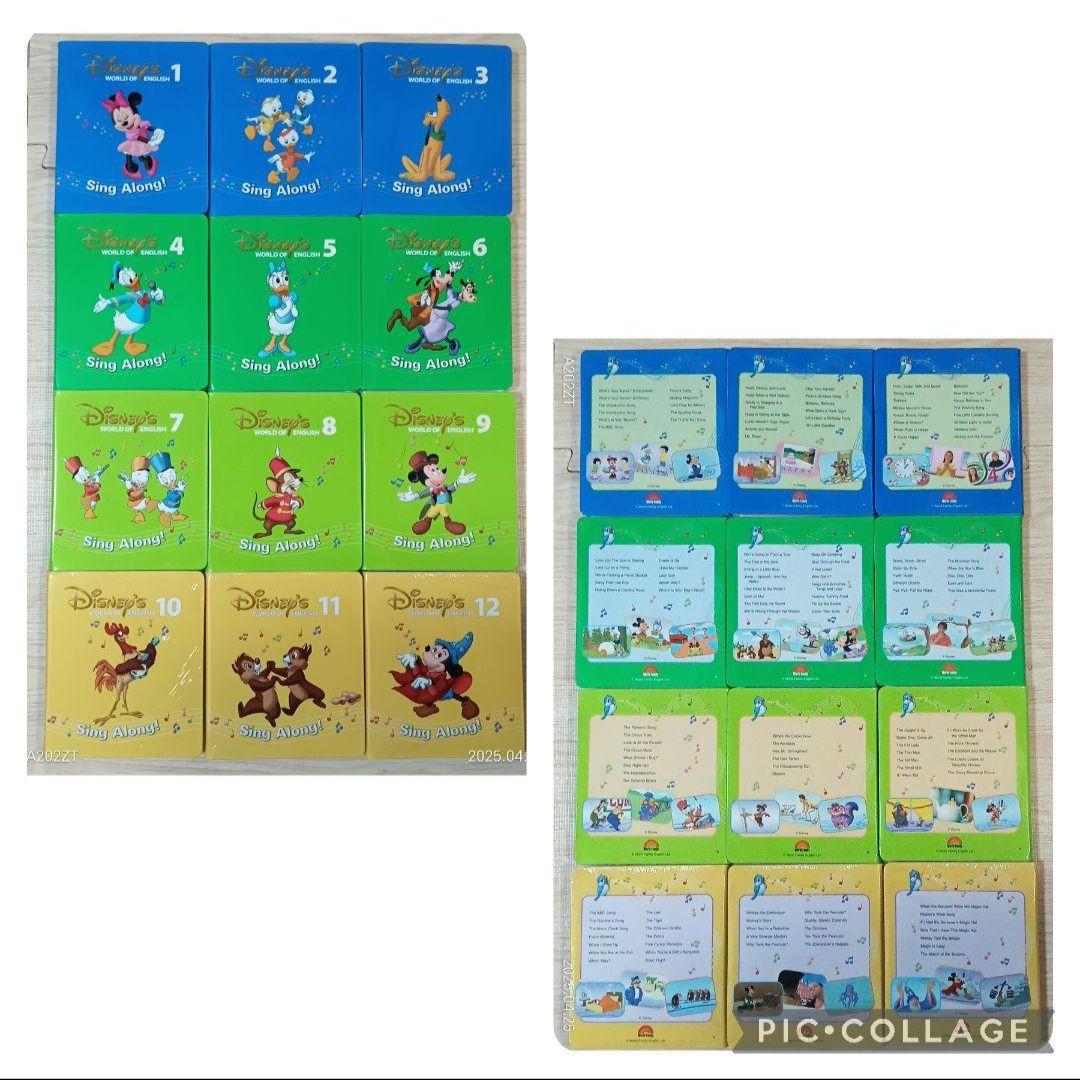 85‐⑬【新子役】DWE ディズニー英語システム シングアロングDVD