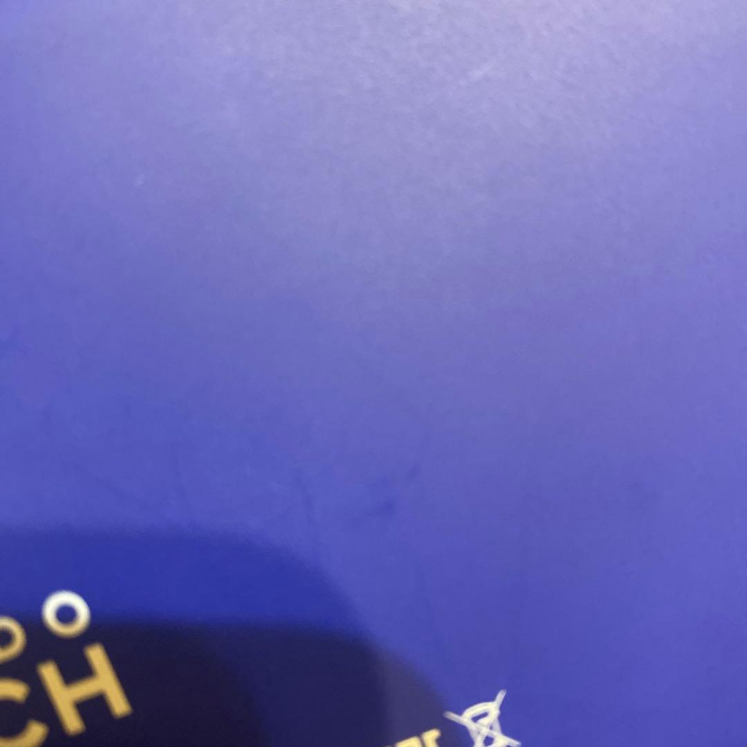 Nintendo Switch Lite ブルー　青　本体 ニンテンドー　ライト