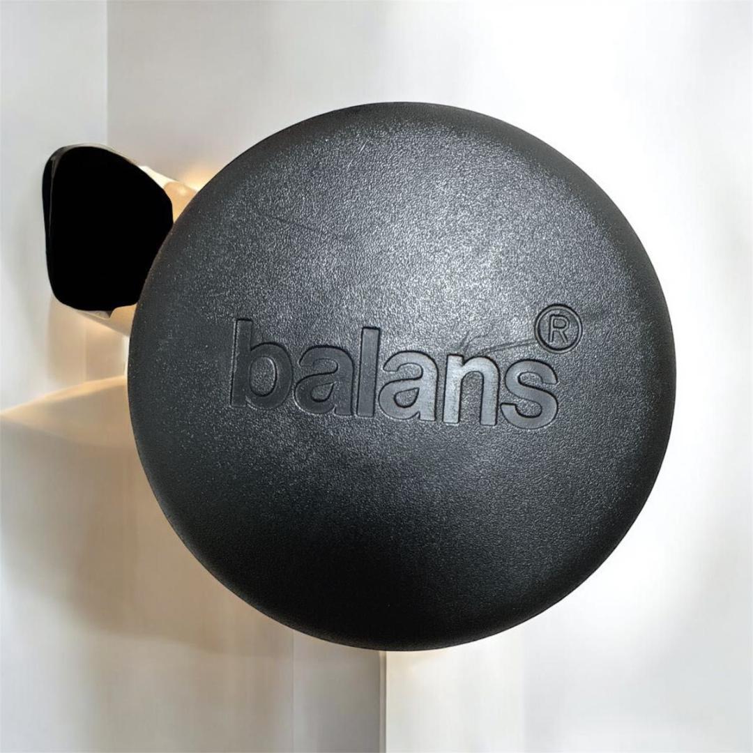 STOKKE 姿勢矯正 ノルウェー レッド balans