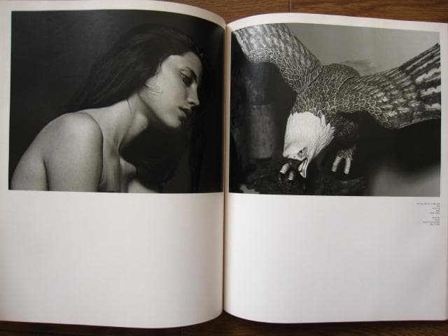 Anthology of a Decade, US　HEDI SLIMANE