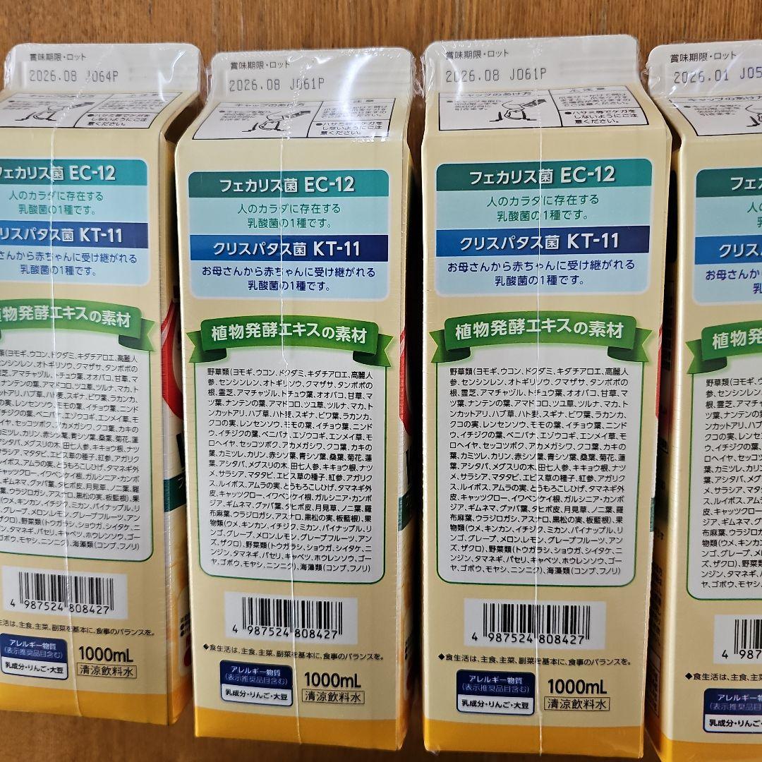 富士薬品　フジラクトプラス　4本セット