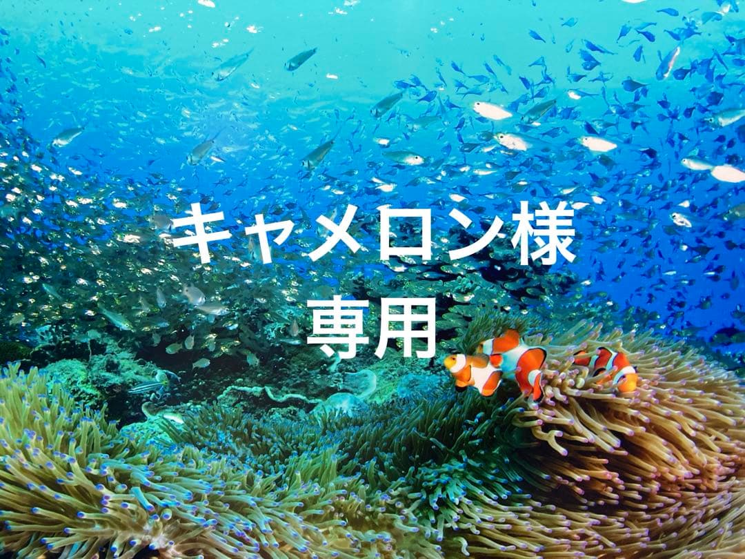 エンビロンCクエンストーナー モイスチャージェル2 クレンジングクリーム200