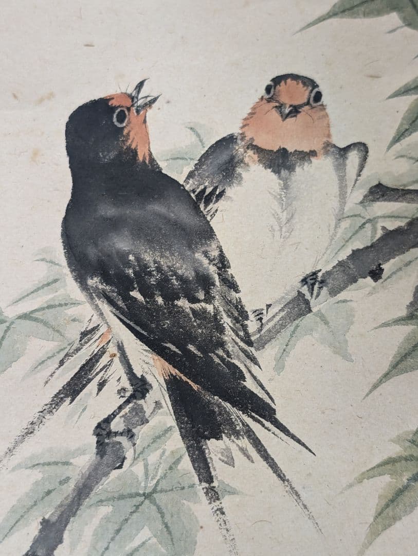 望月玉渓 望月玉泉 燕図 望月玉成 鑑題 日本画 花鳥画 茶掛軸 肉筆青楓飛爆図