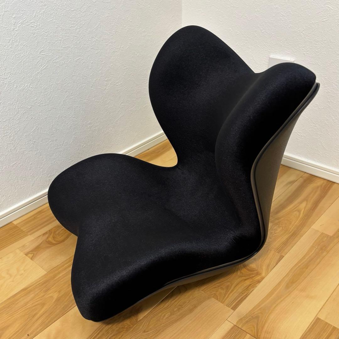 Style PREMIUM DX スタイルプレミアムデラックス ブラック