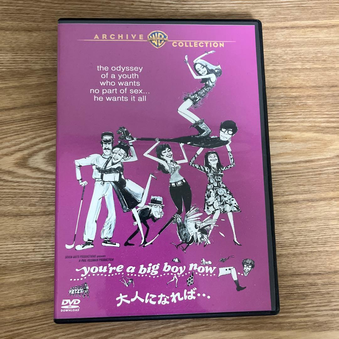 大人になれば… フランシス・フォード・コッポラ　DVD レアDVD 絶版