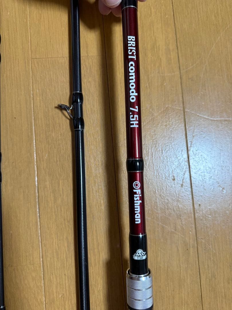 有識者会議  Fishman Brist Comodo 7.5H