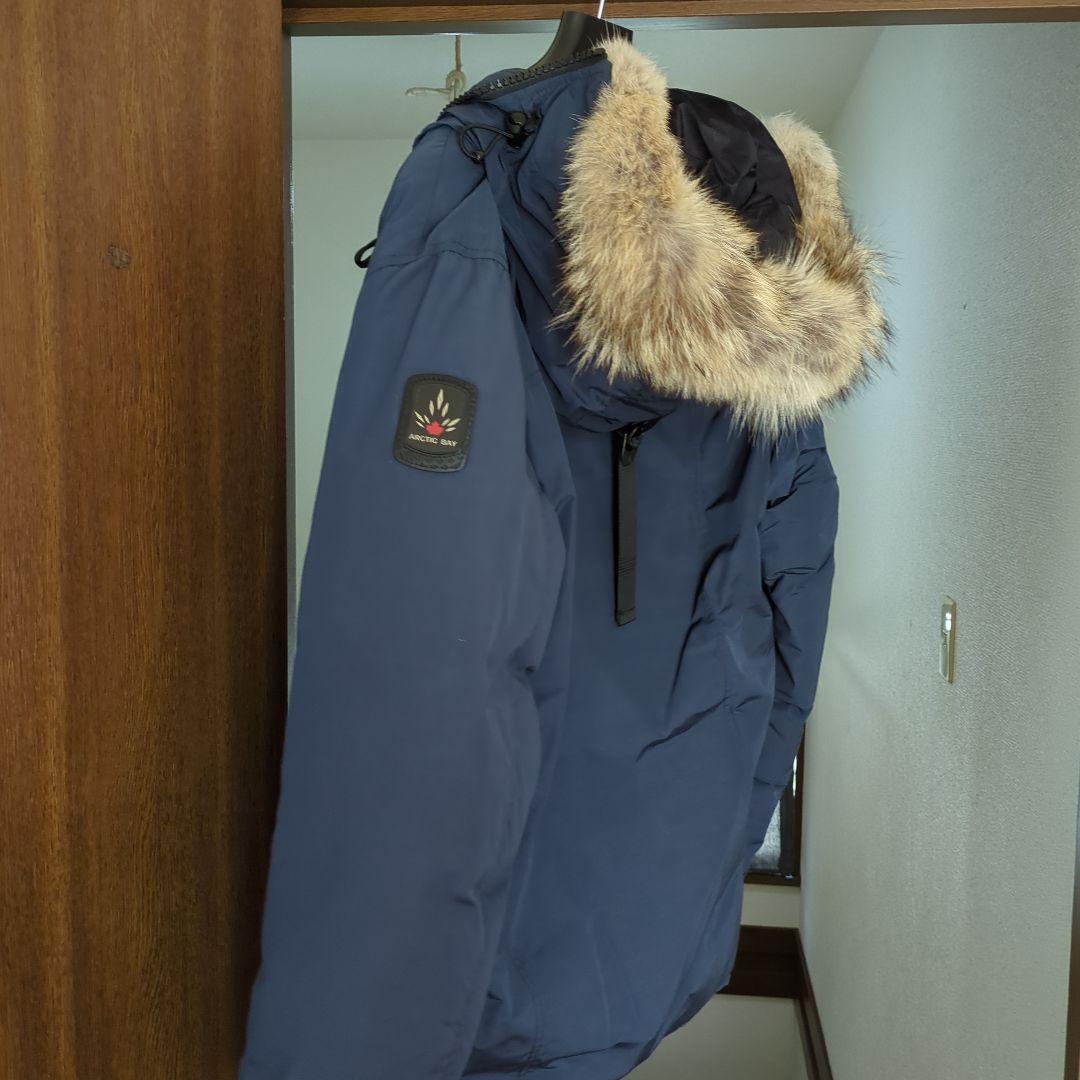 【ポンちゃん】アークティックベイ　ARCTIC BAY