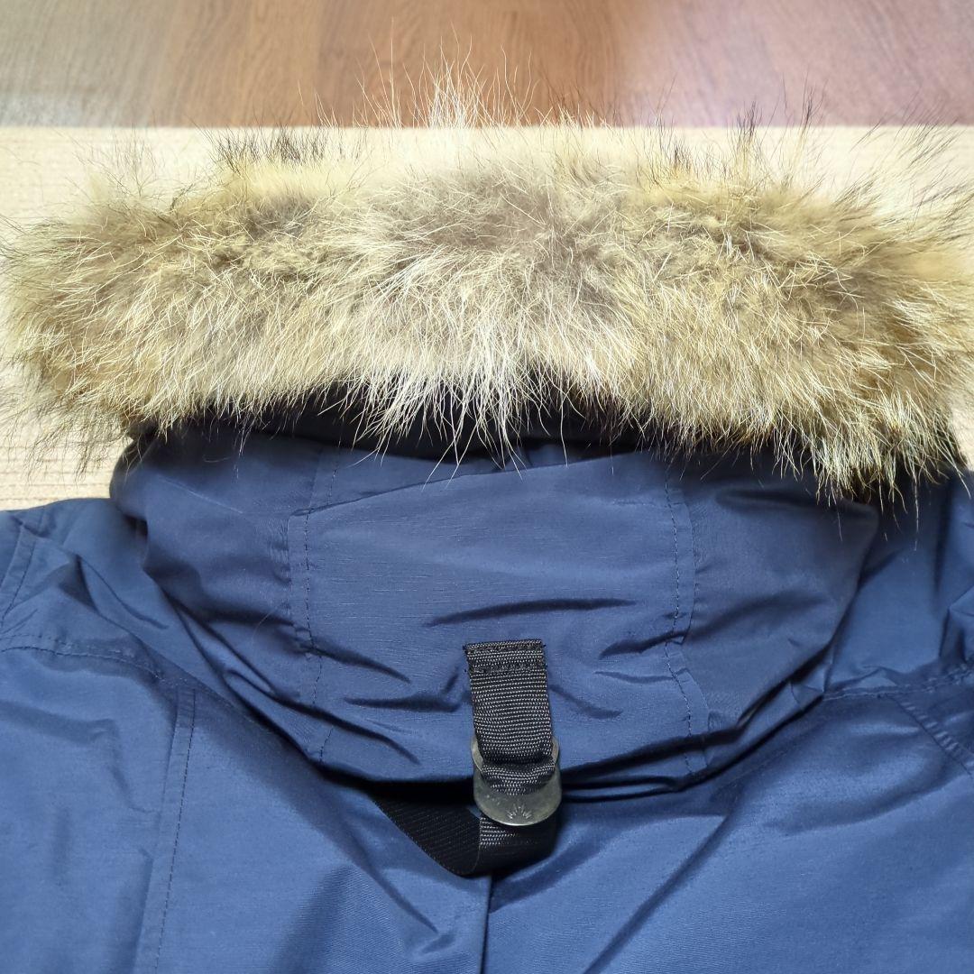 【ポンちゃん】アークティックベイ　ARCTIC BAY