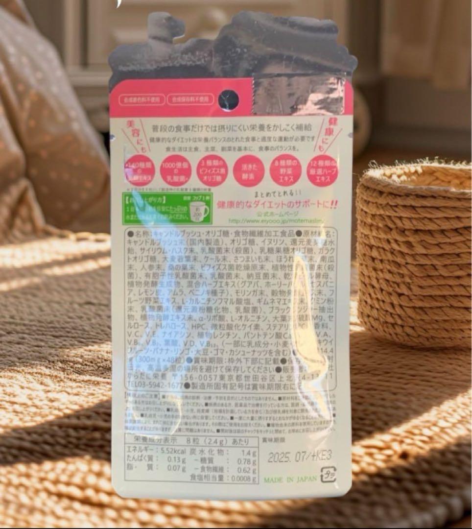 モテマスリム　48粒入×10袋　480粒入　ダイエット　サプリメント