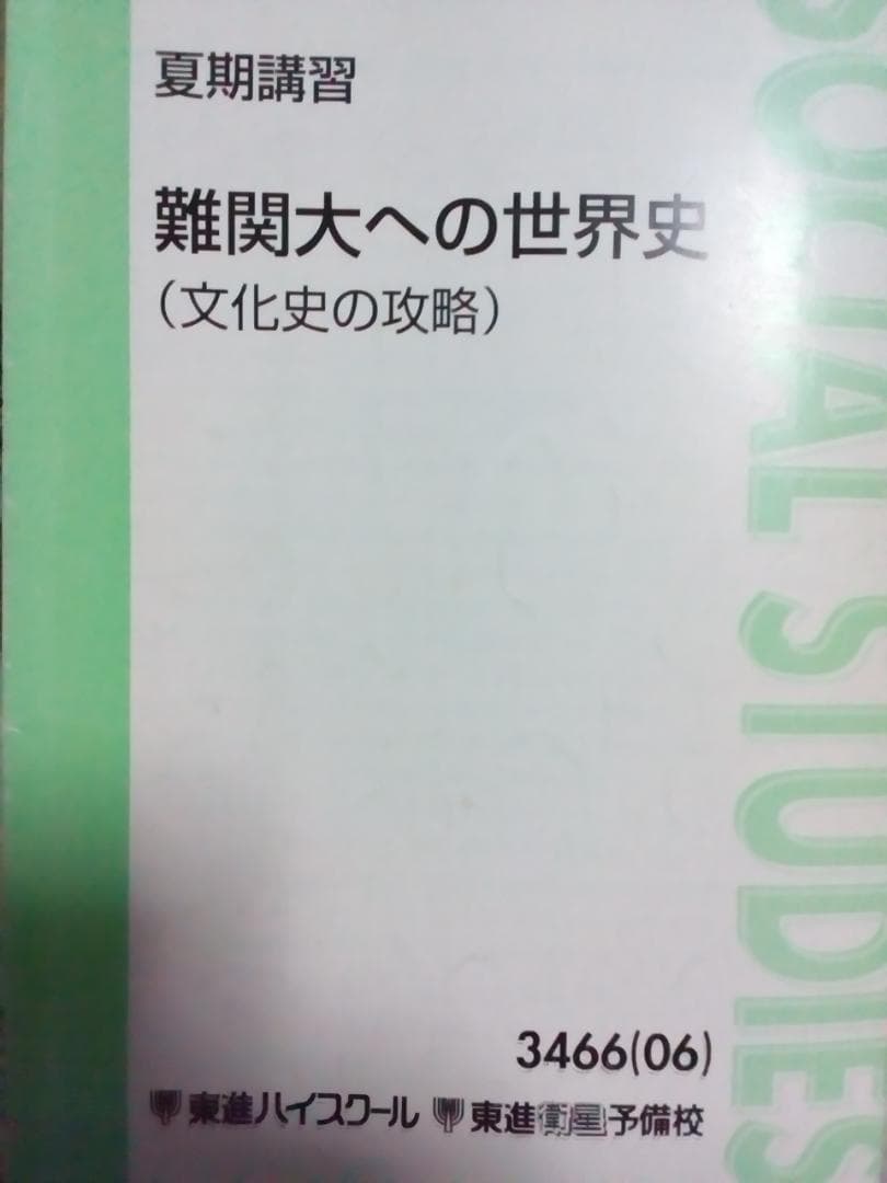 【東進】『夏期講習　難関大への世界史(文化史の攻略)』　　駿台　河合塾　代ゼミ