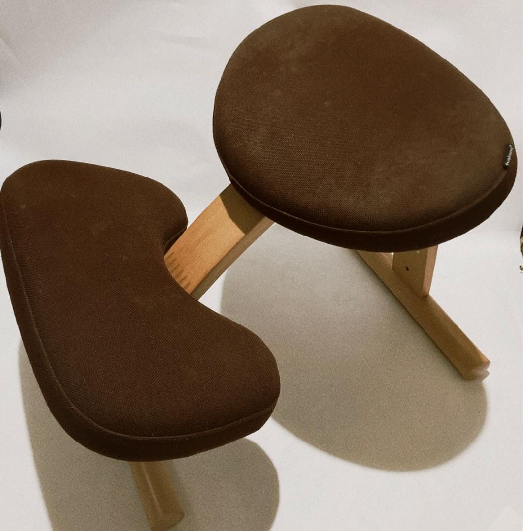 サカモトハウス バランスチェア バランスイージー リボ社 姿勢矯正