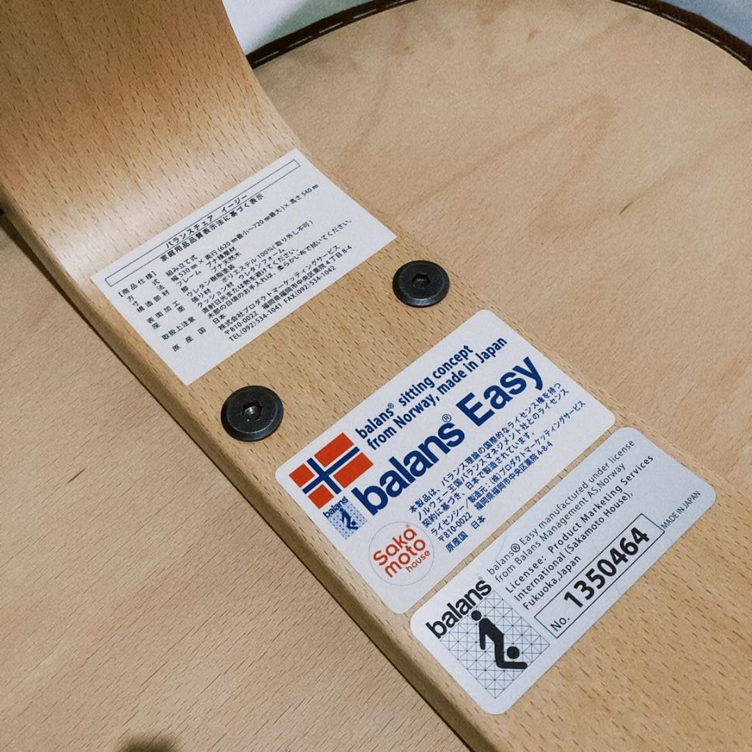 サカモトハウス バランスチェア バランスイージー リボ社 姿勢矯正