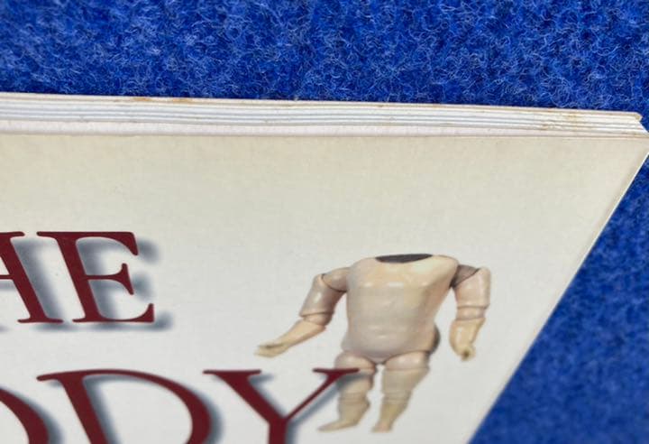 洋書 THE BODY BOOK Florence Theriault