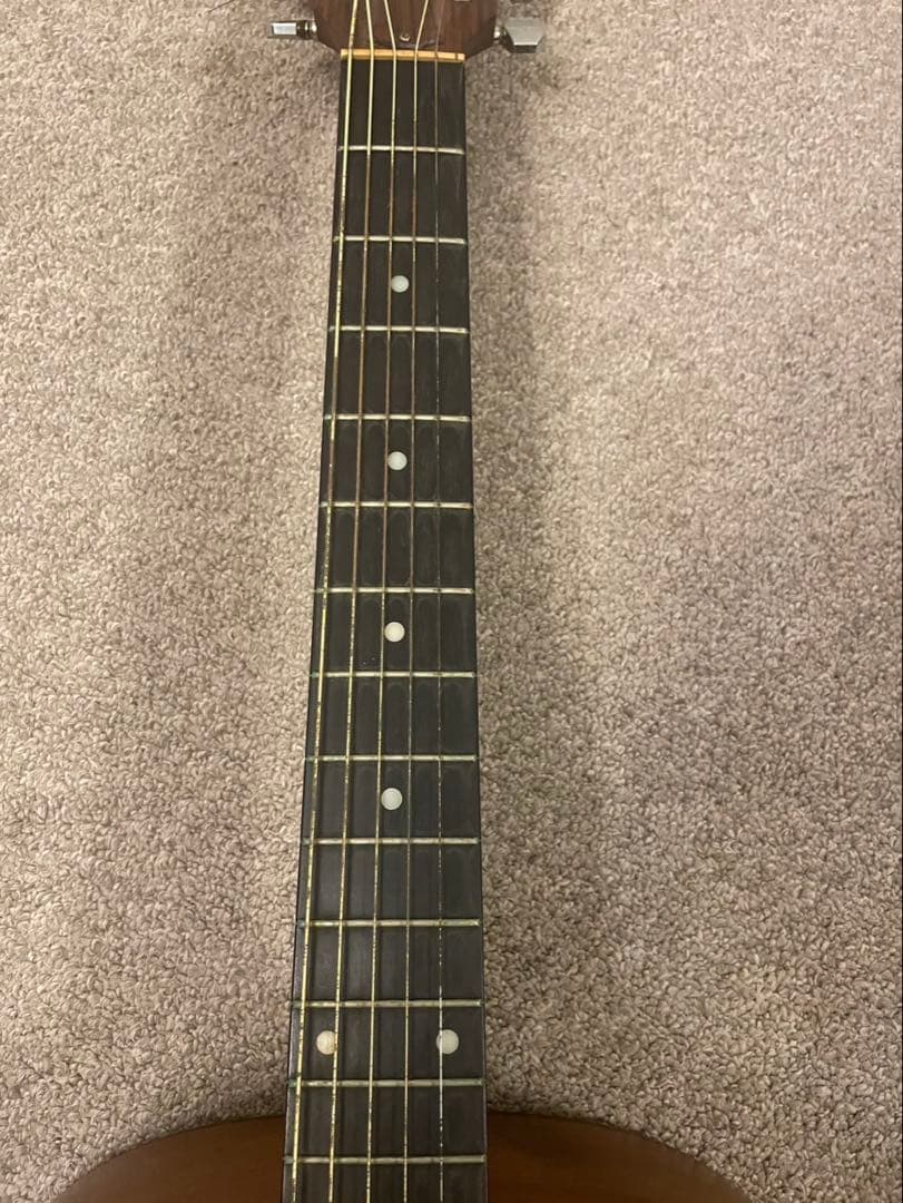 Taylor アコースティックギター 214 純正ケース付き