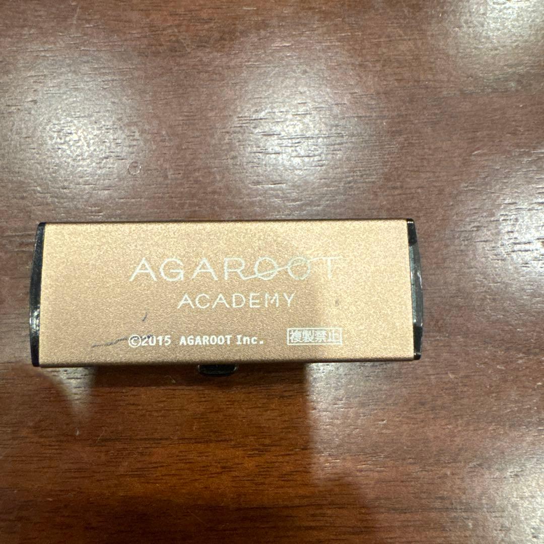 アガルート 司法試験 予備試験 2019 重要問題習得講座 正規usb