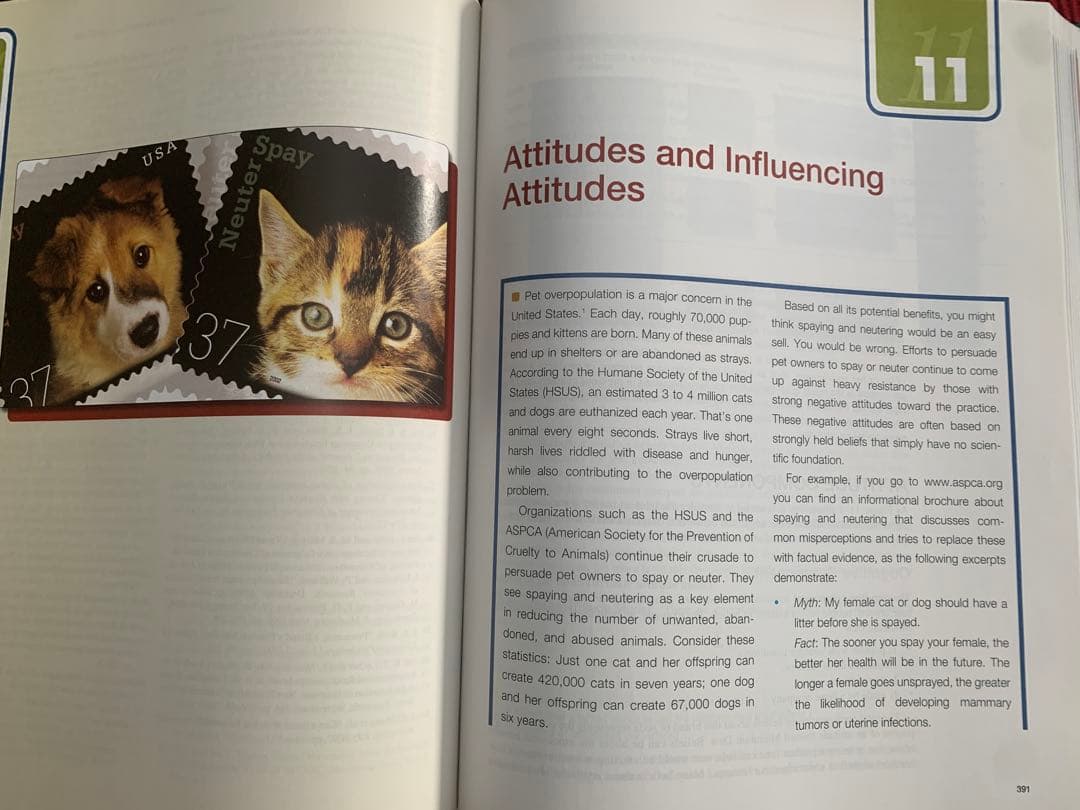 Consumer Behavior: Building Marketing…