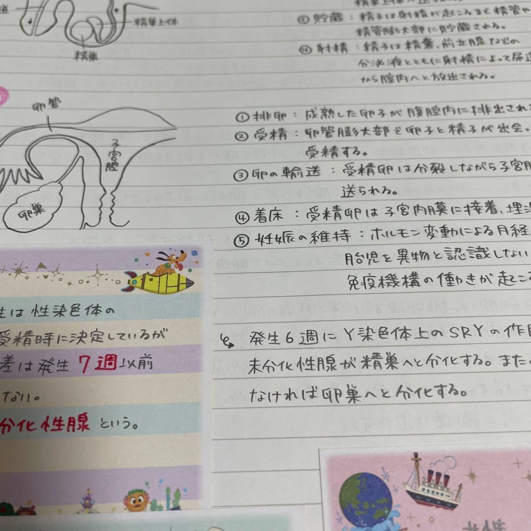 助産師学校セット　まとめノート