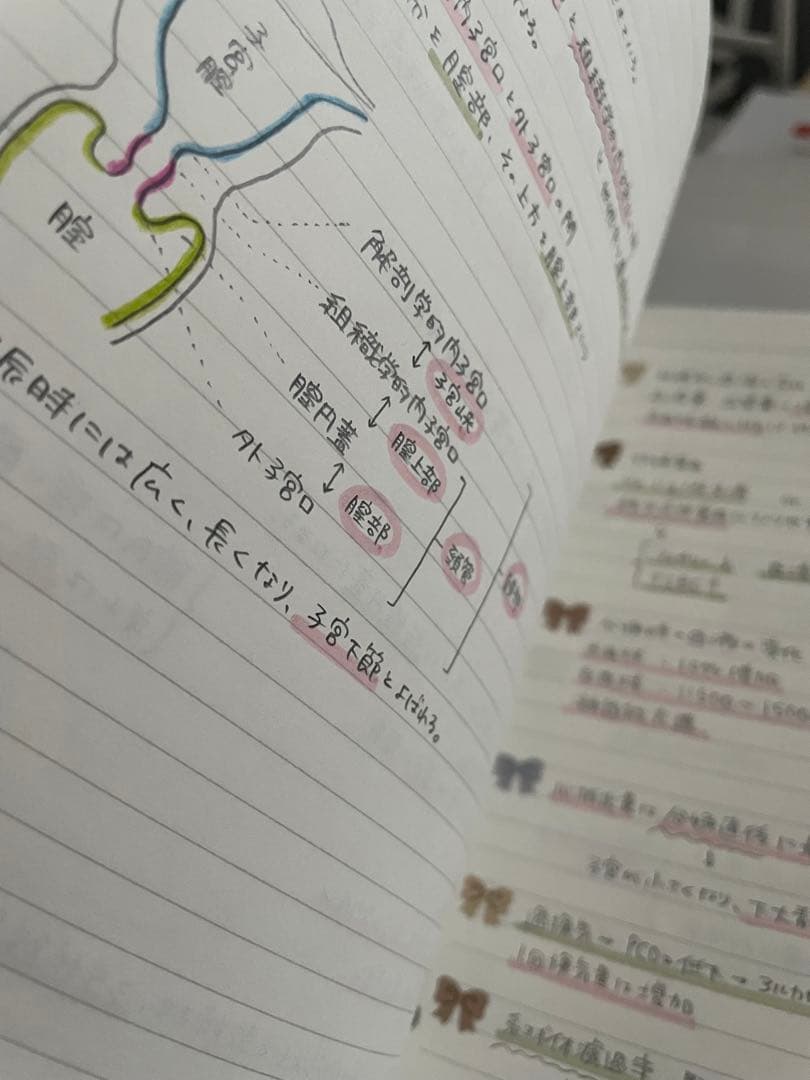 助産師学校セット　まとめノート