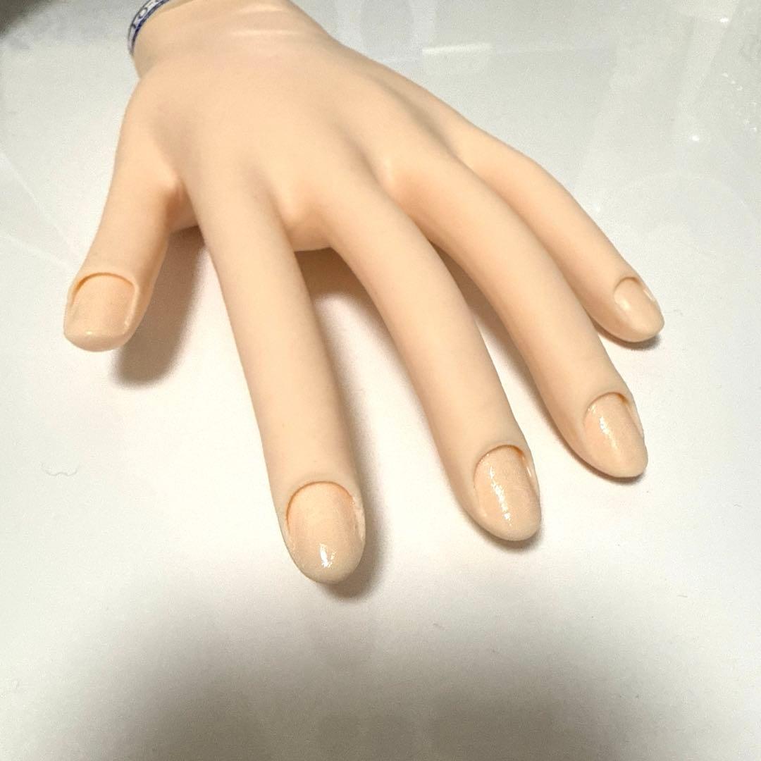 JNEC認定モデルハンド(両手)チップ、シールつき