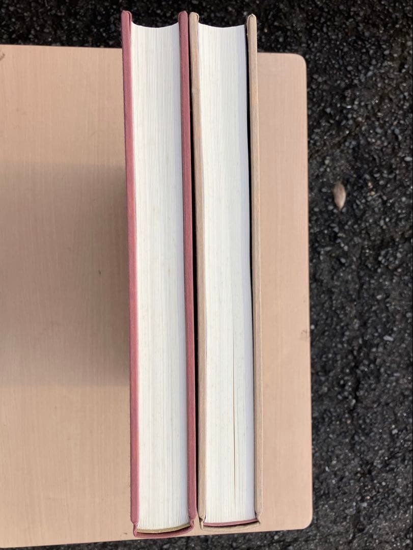 杉山寧素描聚成 全一巻二分冊 特典？付 1992年 小学館