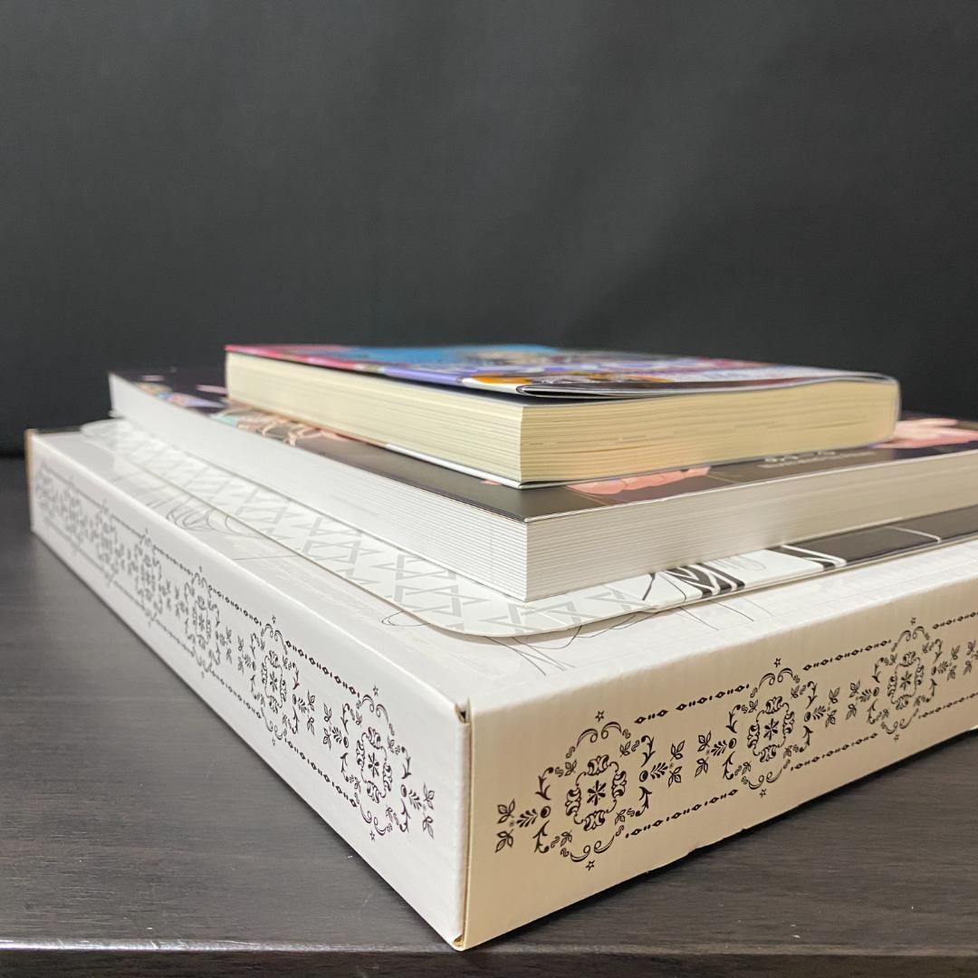 アニメイト 限定版 魔女の旅々 16巻 画集付き豪華特装版 イラスト集 イレイナ