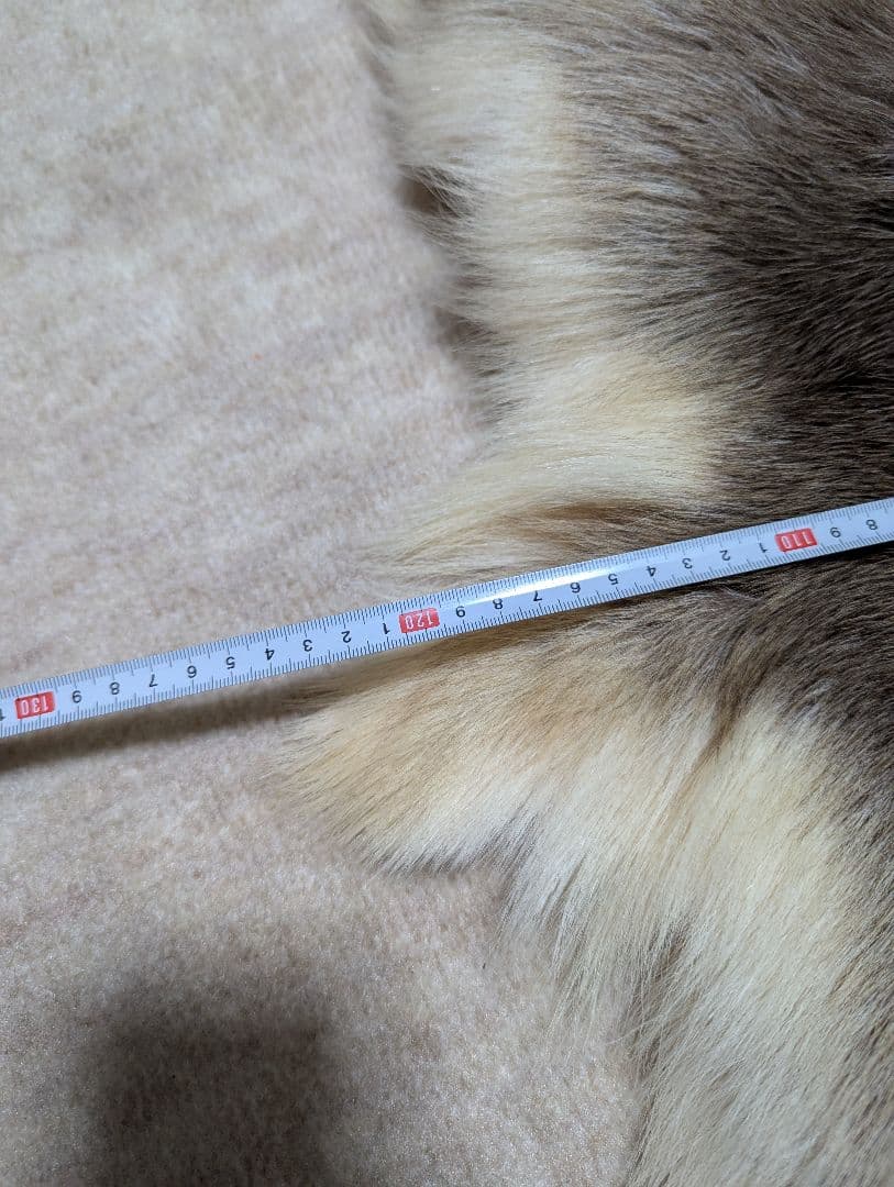 トナカイ　毛皮　フィンランド産