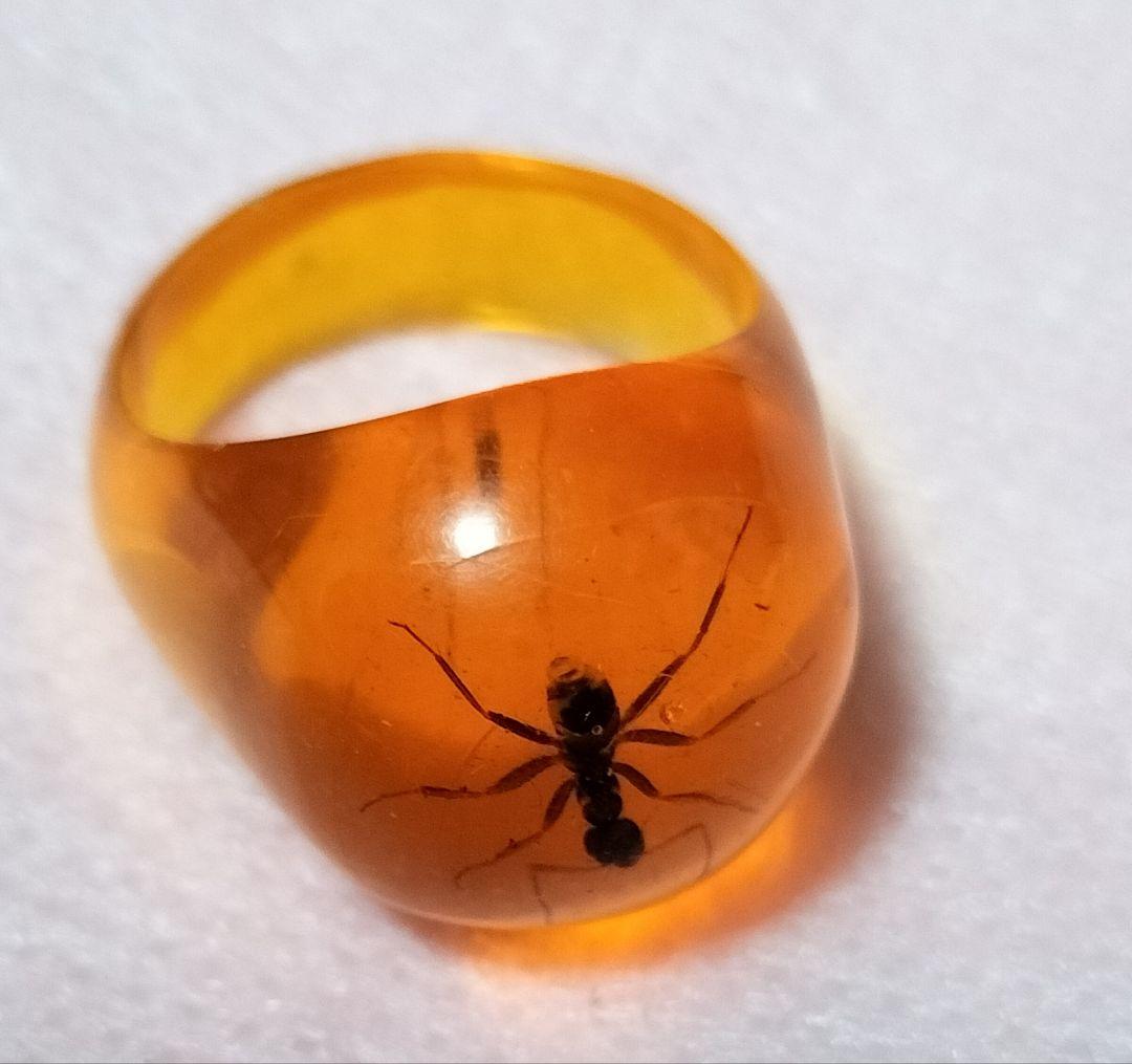 昆虫入り琥珀リング オレンジ