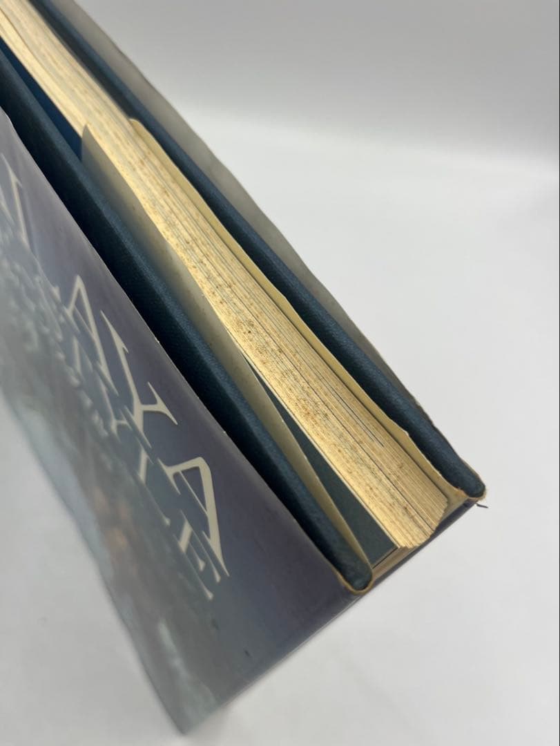 ヒマラヤアルパイン・スタイル : 最も魅力的なルートからの高峰登山