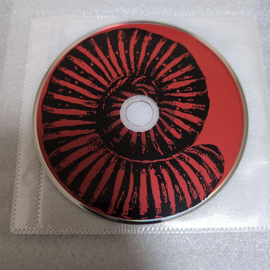 希少 Knife The Symphony 「Crawler」