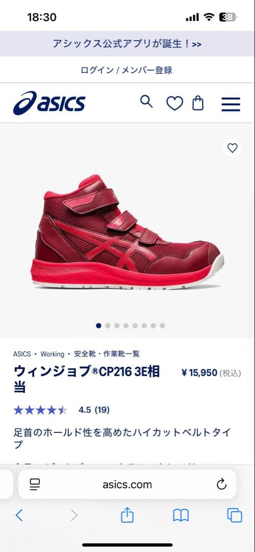 ASICS WINJOB CP216 26.0cm 赤