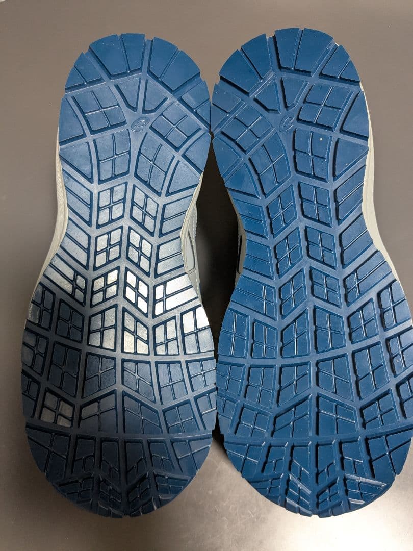 木*公様 asics BOAシステム安全靴 グレー/ブルー