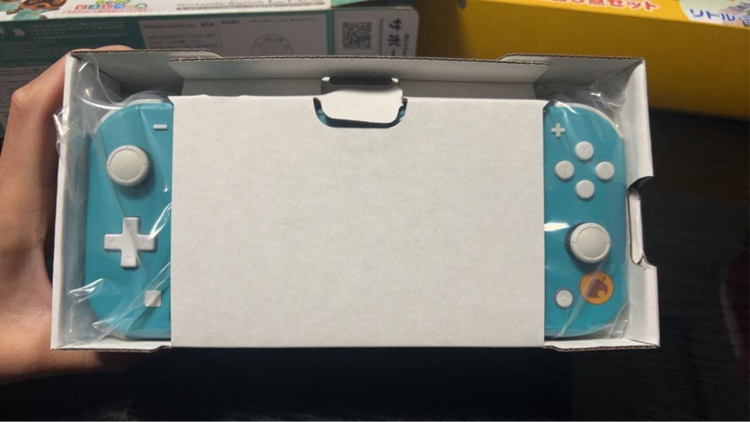 Nintendo Switch Lite どうぶつの森 ターコイズ　ジャンク品