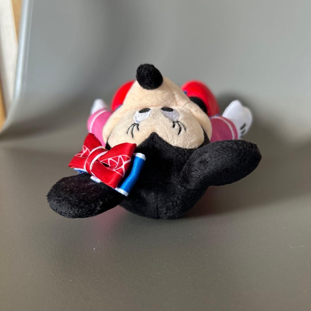 東京ディズニー リゾート　ミッキー ミニー ポージープラッシー　衣装付き