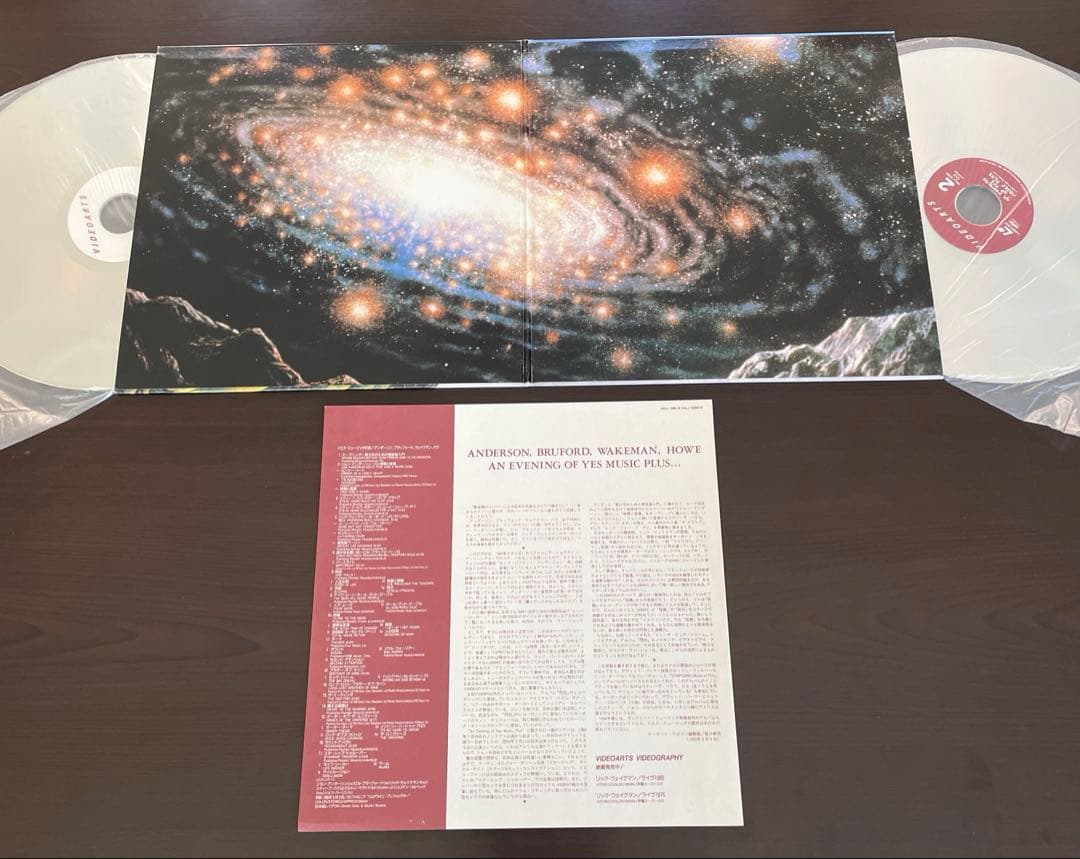 プログレ ヘビメタ サザンロック LD セット 8枚 アイアンメイデン