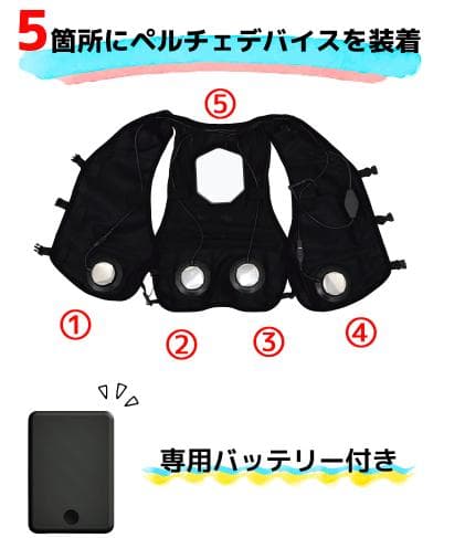 ワークマン ウィンドコアアイス×ヒーターペルチェベストPRO2 2025年版