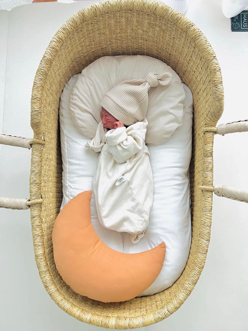 Infant Lounger snuggle me [スナグルミー ]