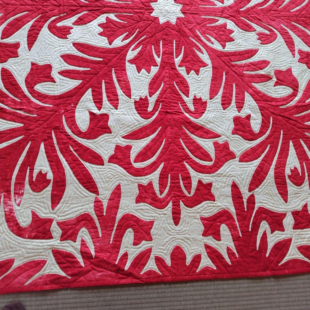 「ひろちゃん」