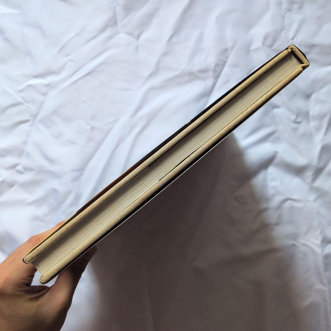 アート・デザイン・音楽 MIKE & DOUG STARN ATTRACTED TO LIGHT SET