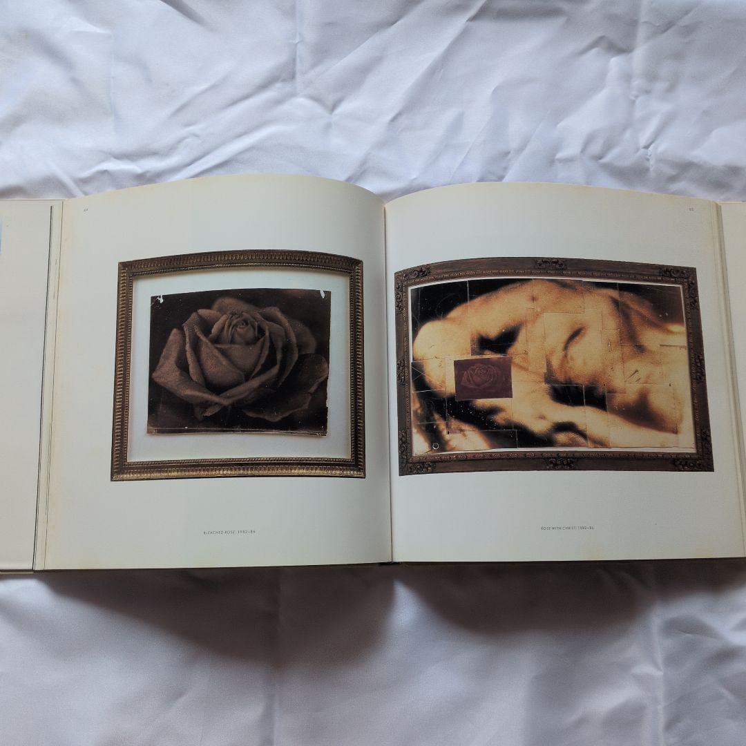 アート・デザイン・音楽 MIKE & DOUG STARN ATTRACTED TO LIGHT SET