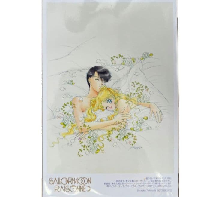 セーラームーン 6点セット レゾネ 豪華版 ファイル　ポストカード　2/8まで