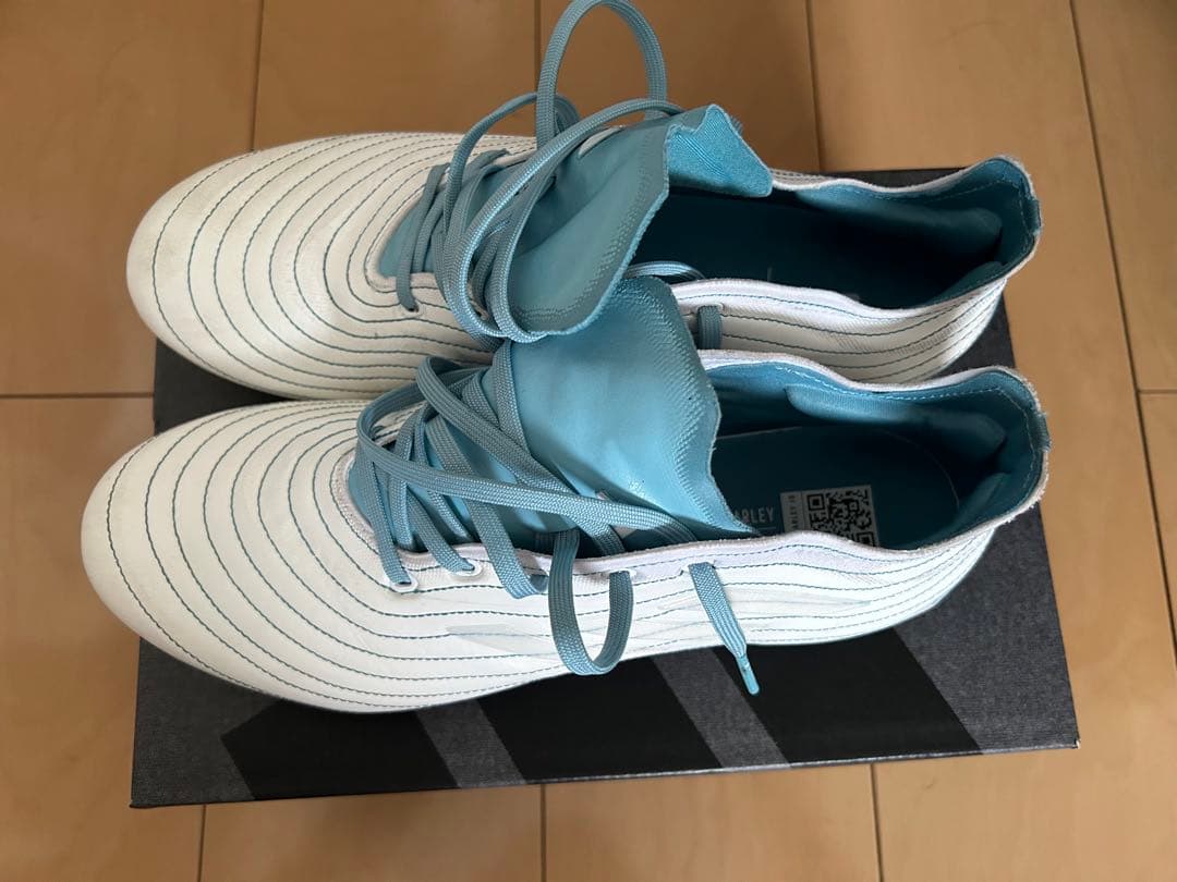 コパピュア.1 FG