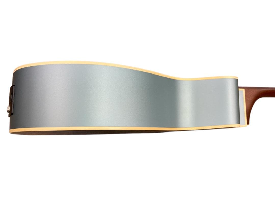 Fender エレアコ Newporter Player IBM WIN