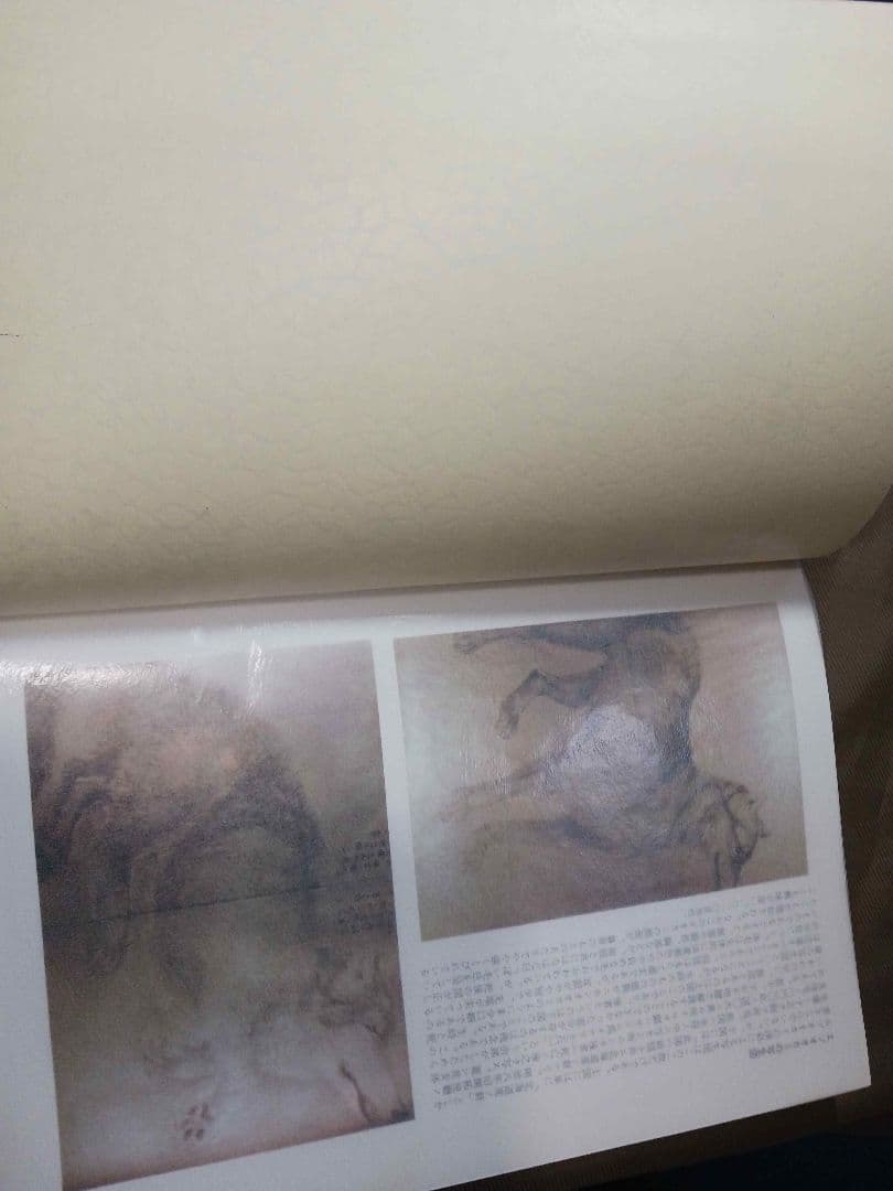 日本産狼の研究